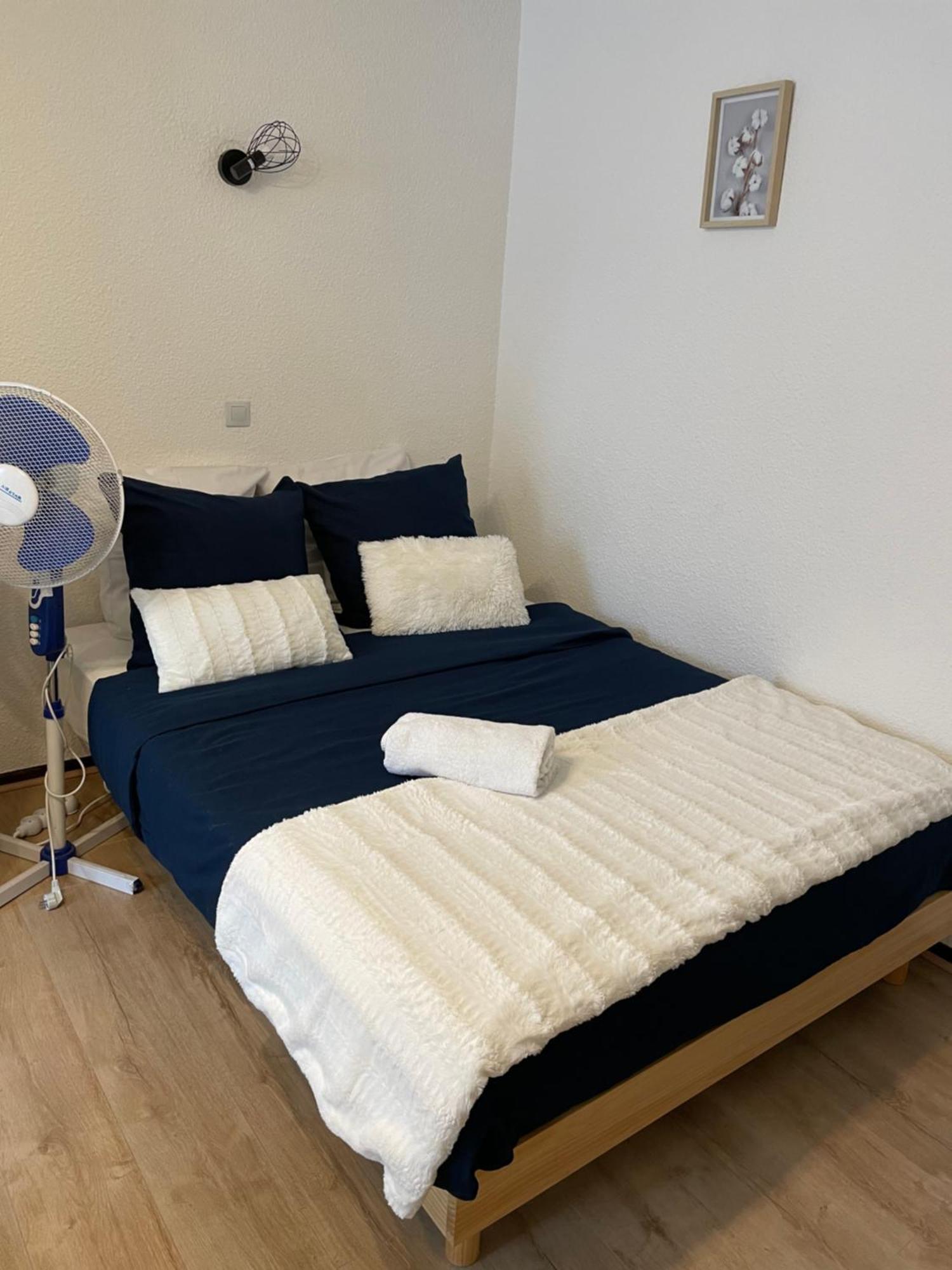 Cocon De Zoe Appartement Nancy